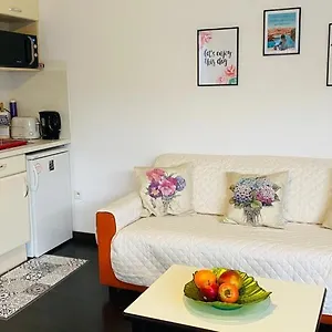 Apartamento Superbe Avec De Parking Gratuit Sur Place, Lourdes